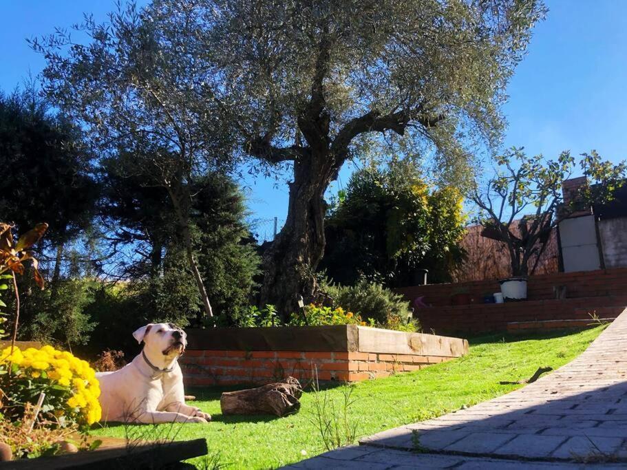 Villa Preciosa Con Hermosas Vistas. Hormigos Exterior foto